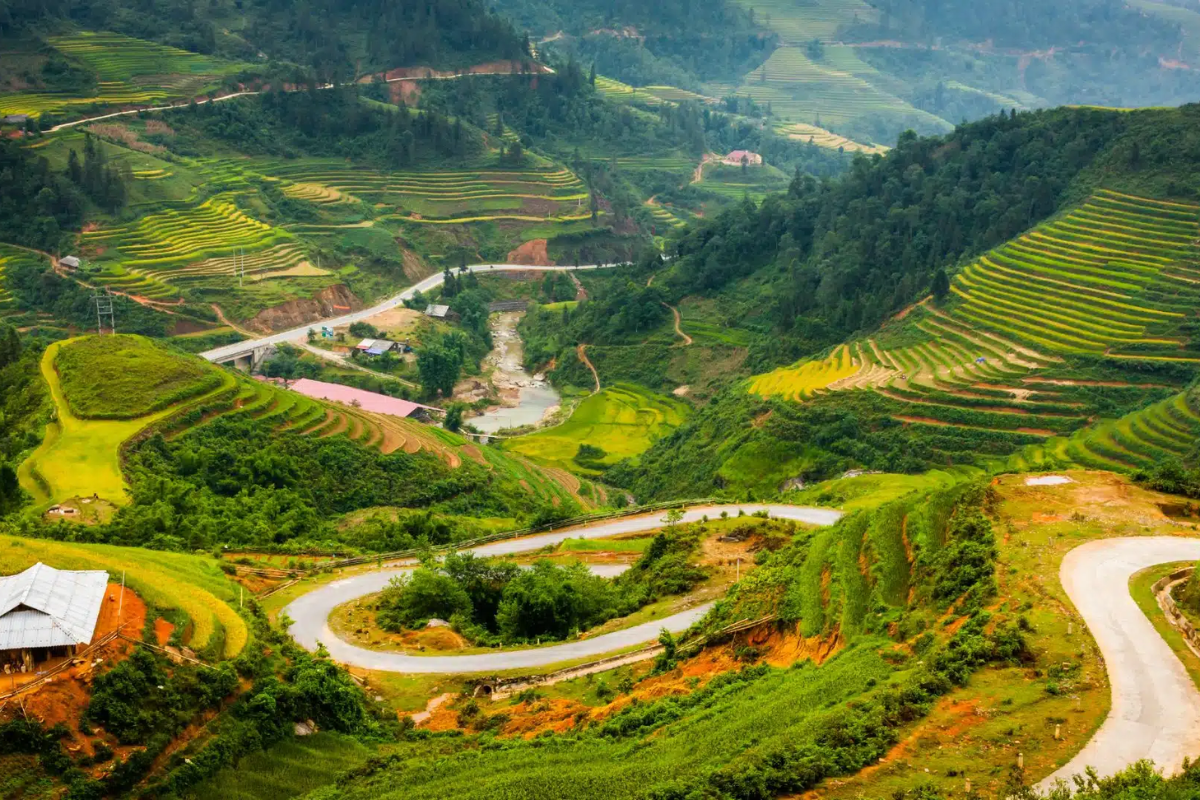 Lush terraced rice fields in Ban Ho village 